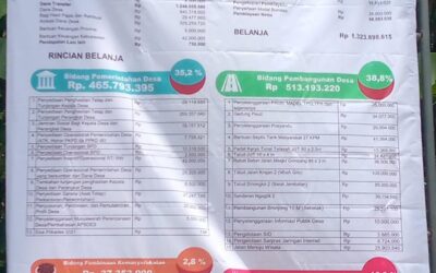 Info Grafis APBDESA perubahan TA 2023
